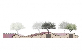 Arizona State大学校园中心广场紫红色地形节点设计 by 小编