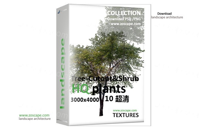 【合集】超清国际灰调树-境外效果图植物贴图素材下载