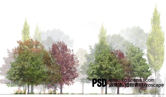 高清PSD分层植物种植形式素材-PSD植物乔木树素材