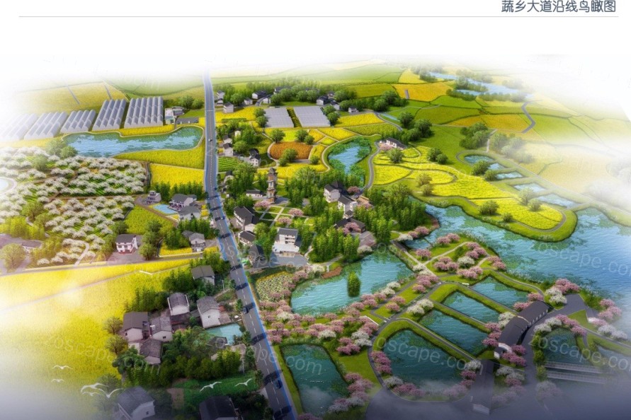 1200亩水稻农田园区总体规划农家文化旅游区|现代生态农业旅游|乡村振兴