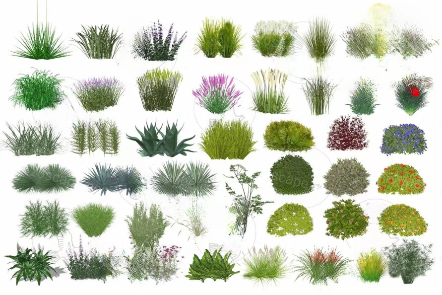 5组植物花草su模型园林植物花境植物模型公园生态植物芒草模型