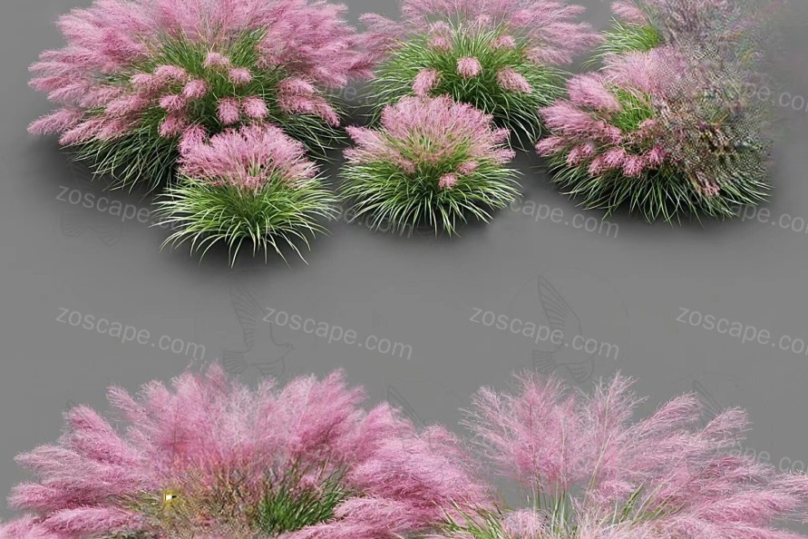 1组紫色花草地板su模型网红花草植物SU模型粉黛草模型