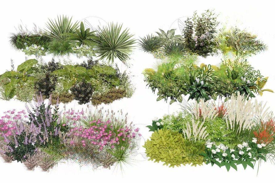 1组园林植物灌木花丛花卉组合SU模型公园植物灌木花草地被组团模型