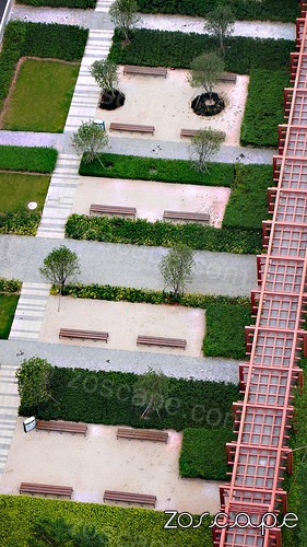 SHEN ZHEN ROOF GARDEN  屋顶花园设计实景