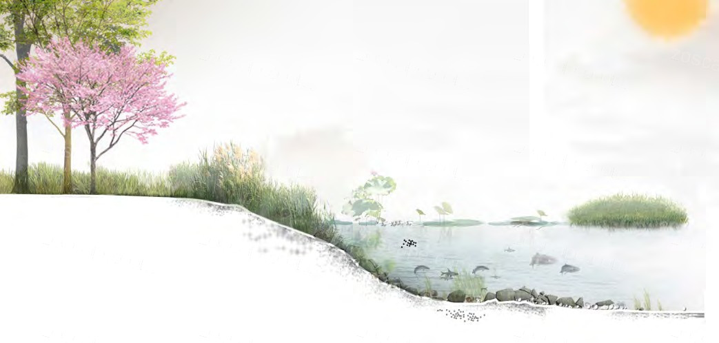 湿地科普观光区-对标5A景区-国家湿地公园品质提升-洋湖生态新城湿地公园景观提质改造概念规划