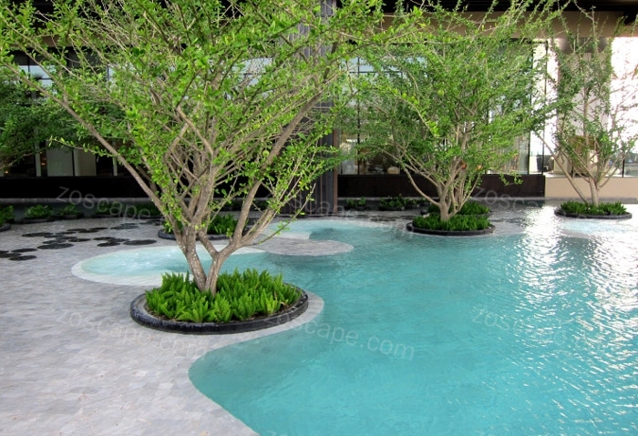屋顶花园—酒店上的生态游泳池