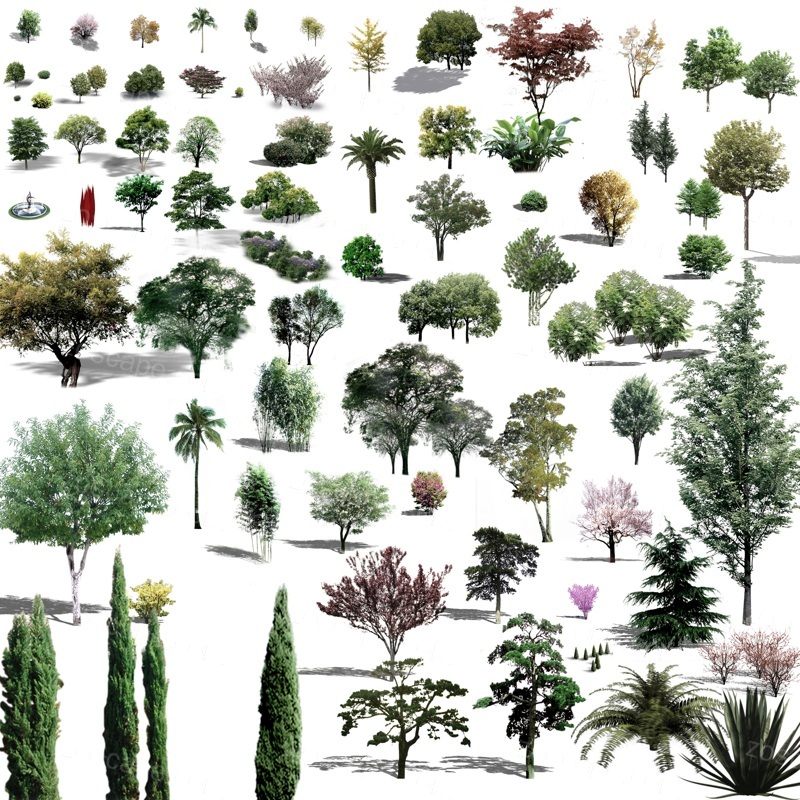 1组高清PS分层植物素材-psd园林景观效果图后期植物