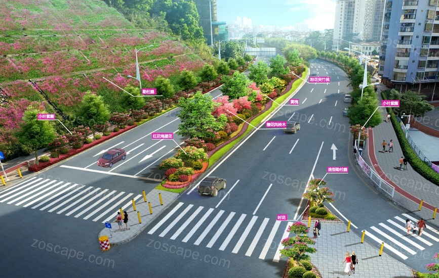 道路绿化改造升级-道路园林景观综合整治设计效果图
