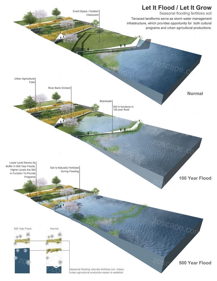 Storm water management infrstracture创意雨水花园景观设计分析图