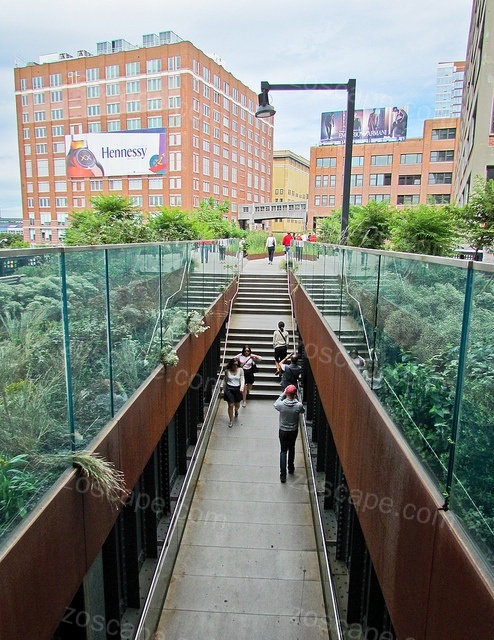 The High Line纽约高线公园景观图片