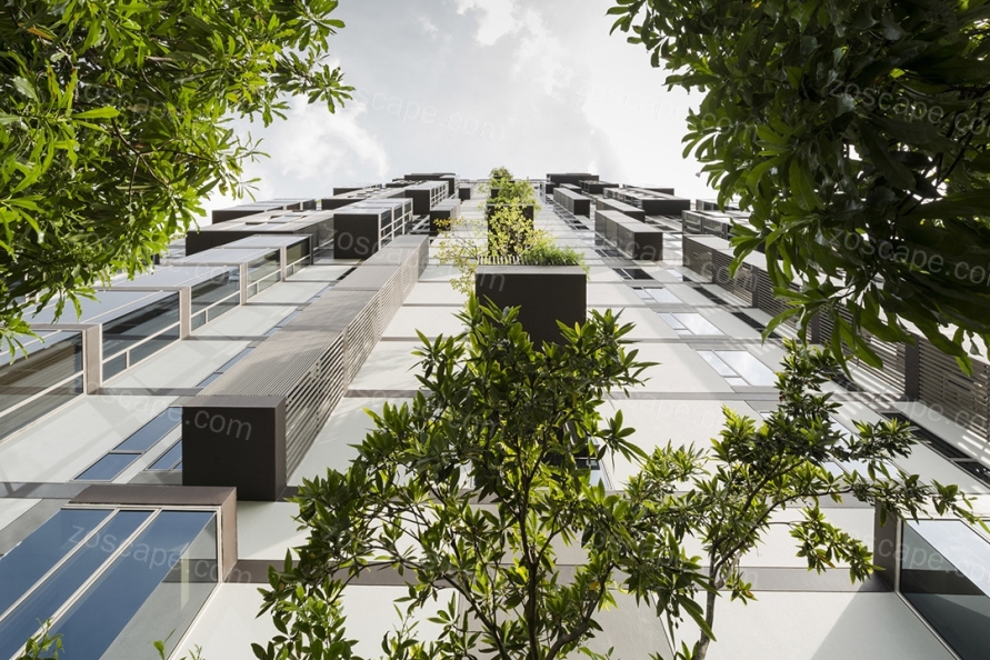 泰国垂直绿化住宅景观意向图