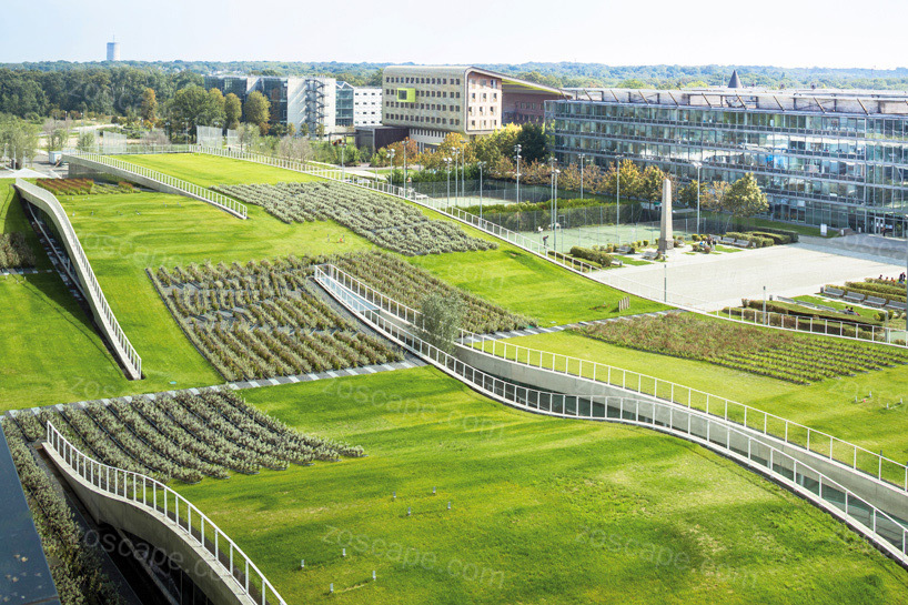 Landscape wave巴黎马恩拉瓦莱大学景观绿地设计