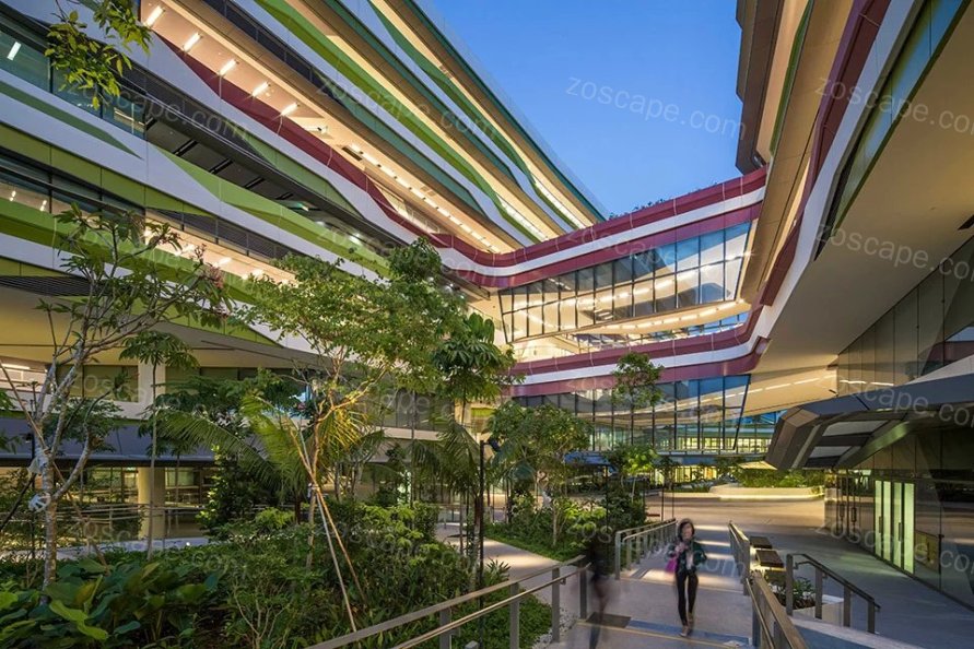Singapore University of Technology 新加坡科技设计大学校园规划