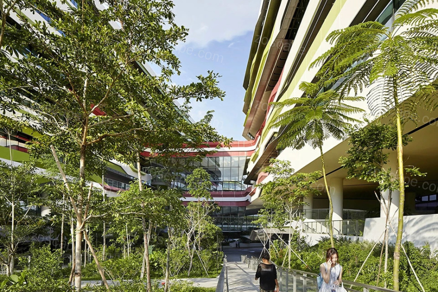 新加坡科技设计大学的绿色建筑垂直绿化意向图