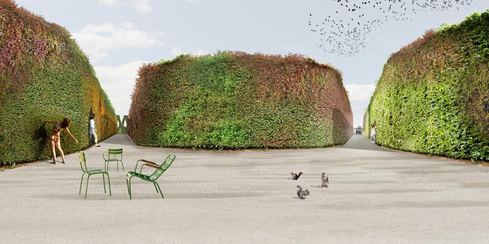 Park Groot Vijversburg荷兰迷宫花园国际竞赛效果图