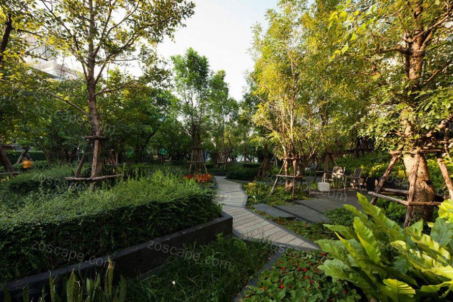 泰国曼谷私人住宅花园园林景观