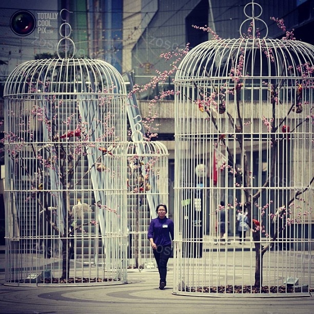 Giant bird cages商业街景观小品设计