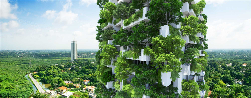 斯里兰卡的CLEARPOINT垂直花园园林景观效果图