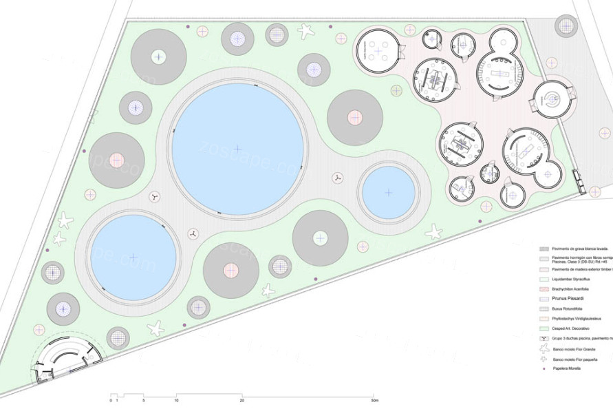 泳池景观设计-不规则的场地上圆形构图