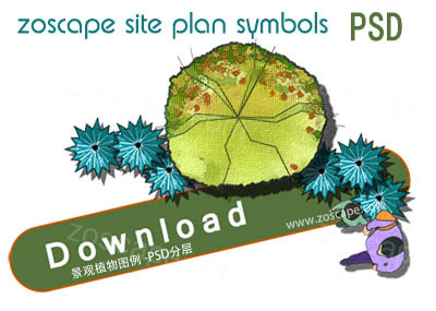 Site plan园林景观素材下载-PS植物平面图图例PSD