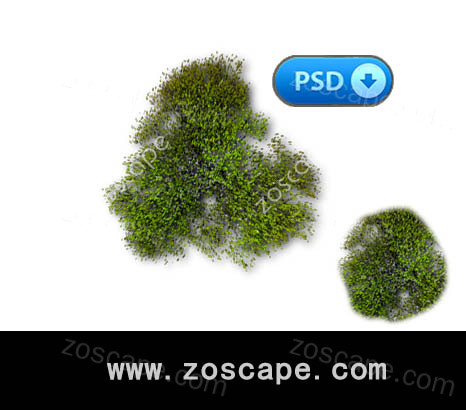 园林景观国外高清素材-psd彩色平面图植物图例下载
