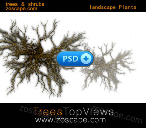 psd园林景观平面图素材下载-真实平面图植物