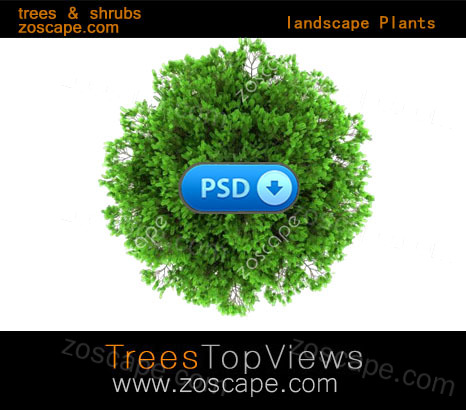国外园林景观素材-psd平面图素材下载
