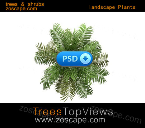 园林植物psd素材-景观鸟瞰图平面图效果图psd