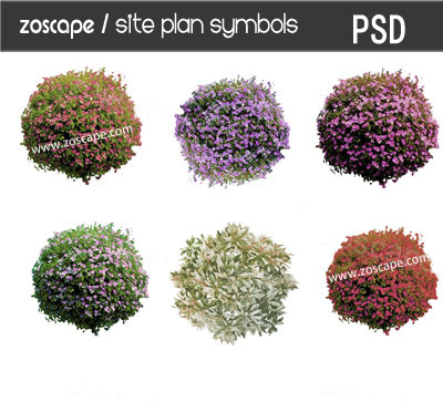 国外风格园林景观平面图PSD真实植物素材