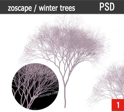 1组高精树素材下载-psd园林景观设计效果图概念树