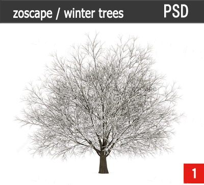 ps概念风树素材-psd植物素材-su效果图树下载