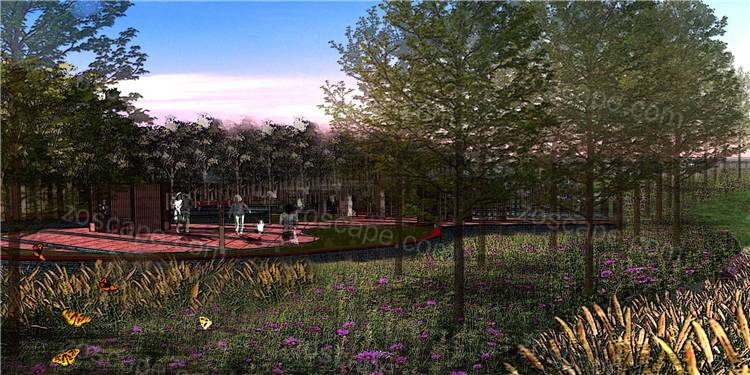 城市湿地公园乡土植物防护林区景观设计效果图