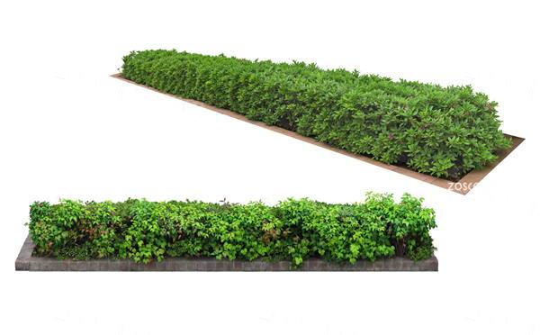 绿篱灌木贴图下载-园林景观效果图素材大全