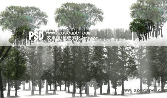 4组树木素材-园林景观效果图植物素材
