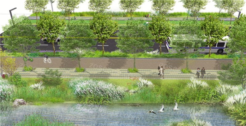 河道路侧绿带道路绿化景观设计效果图