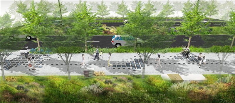 城市道路人行道绿化分隔带园林景观设计效果图
