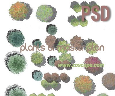 SCAPR建筑景观规划总平面图贴图素材-平面图植物素材下载